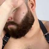 duarbear