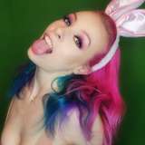 freeharliequeen