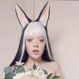 harearchy
