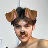 tofucatboy