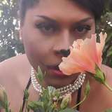 kittyforevercb