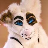 saoirsemutt