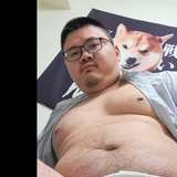 dragonlovebear