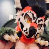 styradoggy2