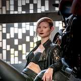 ally-cat96free