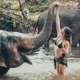 adventurewithalaska