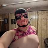 pupvibe